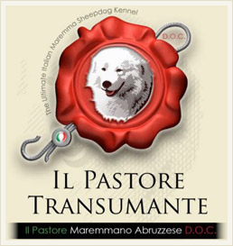 Pastore Transumante